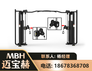 绵阳大飞鸟训练器